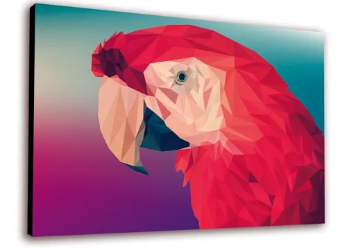 Cuadro 50x30 Cms Guacamayo Poliart 1