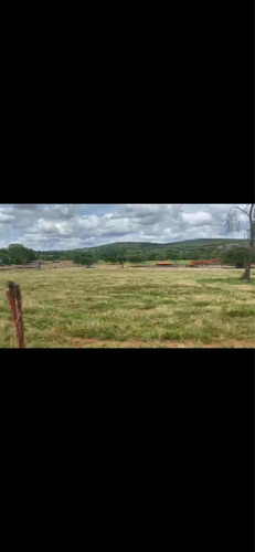 Imagem 8 de 14 de Fazenda Dupla Aptidão Município Brasilândia