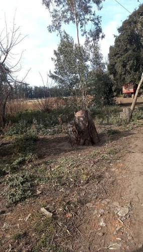 Imagen 3 de 5 de Venta De Lote En Tandil