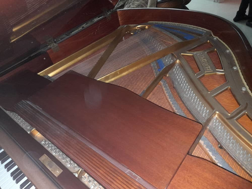 Imagen 4 de 5 de Piano Blüthner 1/4 De Cola