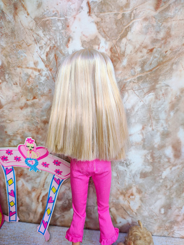 Barbie Baño Mascota Muñeca Caja Colección (Usado)