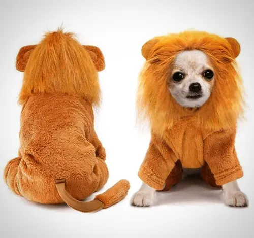 Accesorios Para Mascotas