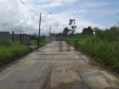 Imagem 14 de 29 de Terreno - Te00036 - 32363943