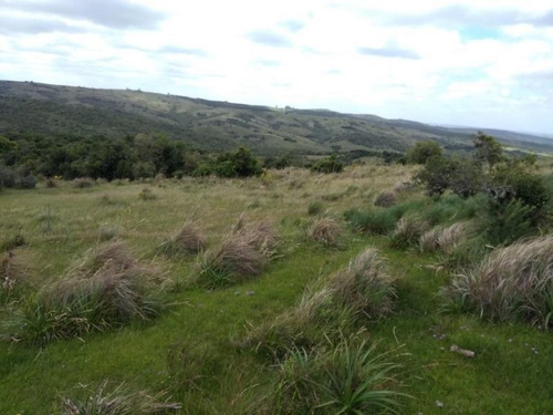 Campo En Venta