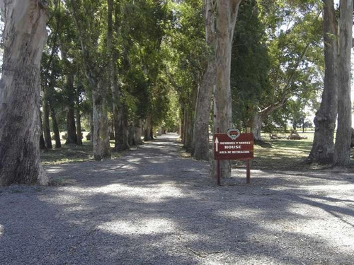 Imagen 5 de 6 de Lote Interno En Campo Daromy San Vicente