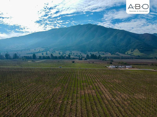 Santa Cruz - Viña 5.000 M2 - Fuegos De Apalta