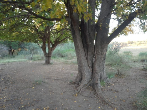 Imagen 16 de 28 de T056pa Amplios Terrenos De 1.350 M2 En Panaholma, A 300 Mts Del Río
