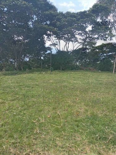 Imagen 1 de 6 de Venta.terreno.eljunco