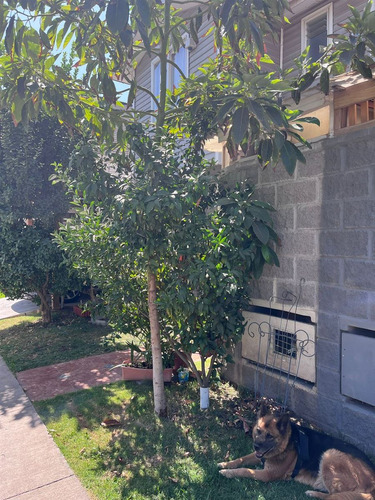 Casa 2 Pisos En Venta En Puente Alto 4d 3b 2est Conectividad