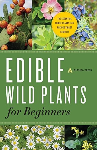 Edible Wild Plants For Beginners The Essential Edible Plants