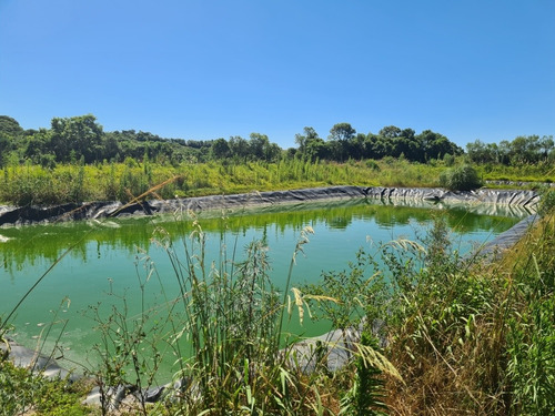 Imagem 8 de 14 de Terreno