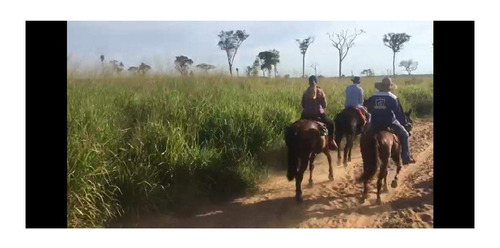 Imagem 16 de 22 de Fazenda 1958 Hectares, Planta 1500 Hectares, Rica Em Água Com Rios, Açudes, Casas, Curral, Galpões, Poços Artesianos, Terra Fértil - Fa00237 - 70701334