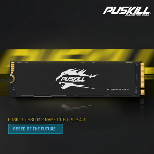 Hd Ssd M.2 2280 PUSKILL 1tb NVMe PCIe 4.0x4 Psk-m2ssdp44-1024g