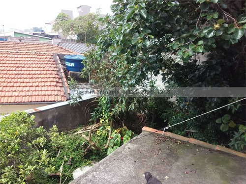 Imagem 9 de 15 de Terrea - Jardim Do Estadio - Santo Andre - Sao Paulo | Ref.: - 29658