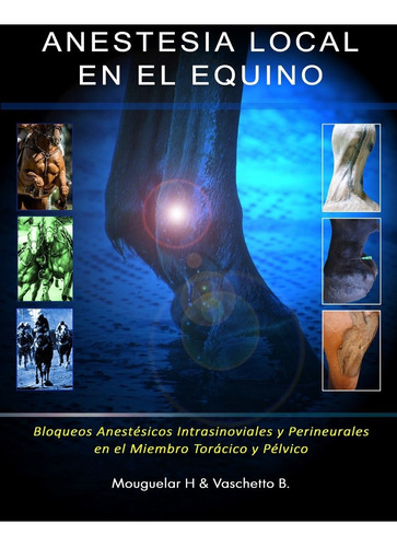 Libro Veterinaria Anestesia Local En El Equino