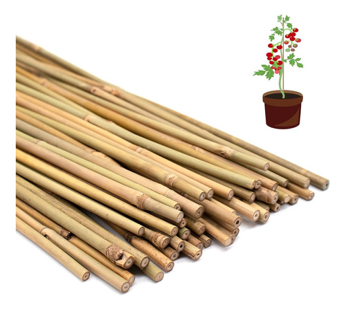 Estacas Para Plantas, Estacas De Bambú Natural, Estacas De J