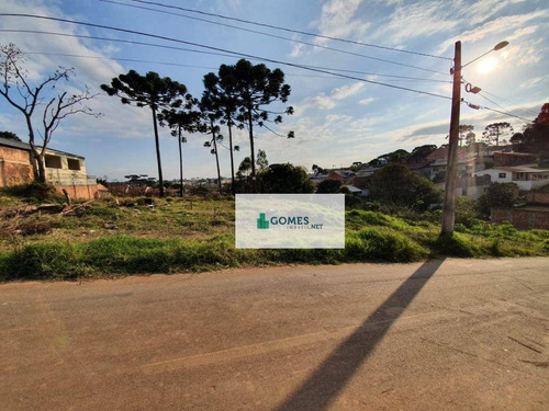 Imagem 2 de 7 de Terreno À Venda, 2150 M² Por R$ 850.000,00 - Gralha Azul - Fazenda Rio Grande/pr - Te0035