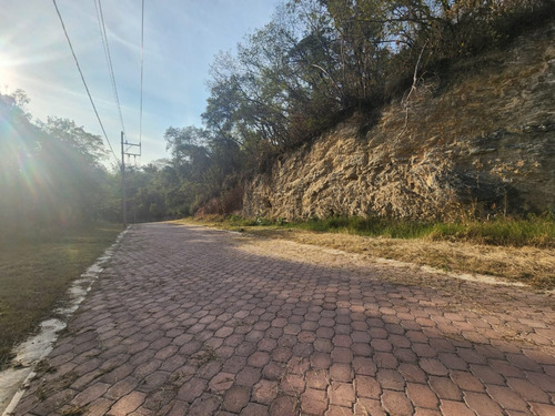 Venta Lote Gladiola 26 En Calle Privada Con Bonitas Vistas, Proyecto Incluído Y Con Todos Los Servicios En Fraccionamiento Rancho San Diego Ixtapan De La Sal Edomex