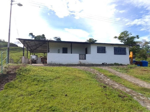 Imagen 1 de 27 de Finca En Venta Chiguará