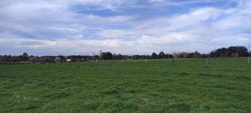 Imagen 4 de 11 de Predio Agrícola 1,5 Ha En Quema Del Buey A 38 Km De Osorno