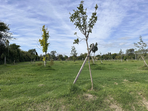 Terreno En Venta, Maschwitz, Escobar, Eco Chacras