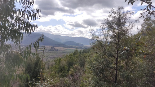 Parcela Punucapa Alto Con Vista Privilegiada, Selva Valdivia