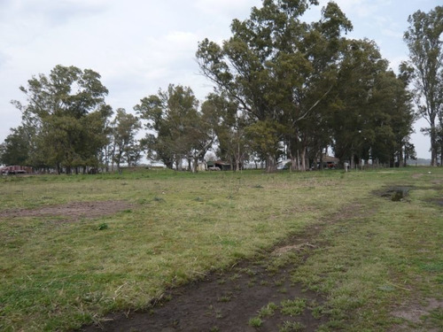 Imagen 12 de 17 de Campo En Cañuelas