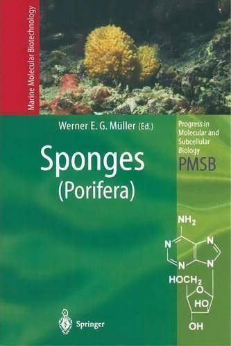 Sponges (porifera), De Werner E. G. Mã¼ller. Editorial Springer Verlag Berlin Heidelberg Gmbh Co Kg, Tapa Blanda En Inglés