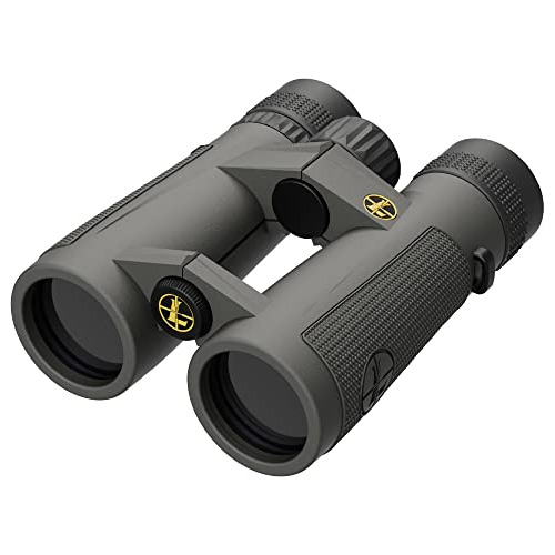 Prismáticos Leupold Bx-5 Santiam Hd, 10x42mm