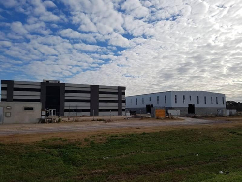 Imagen 10 de 14 de Naves Industriales De 2500 M2 A 5000m2
