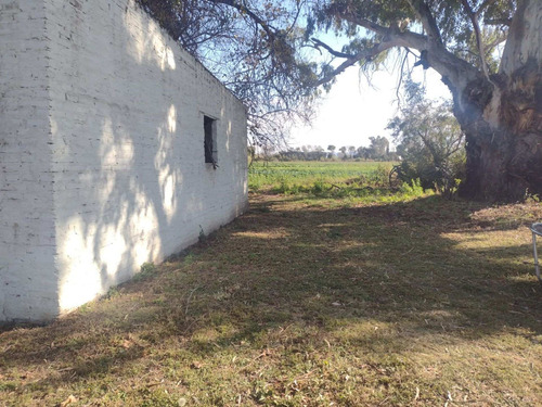 Imagen 3 de 11 de Venta 1 Hectárea En Zona Juarez Celman