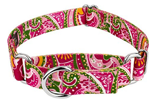 Country Brook Designa Martingale Collar De Perros, Coleccion