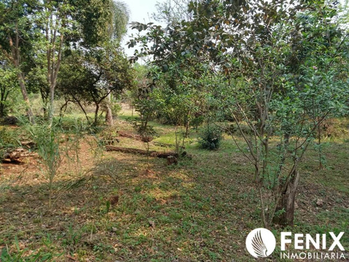 Imagen 3 de 12 de Tf470 - Hectarea En Venta. Z/ Itaembe Mini.