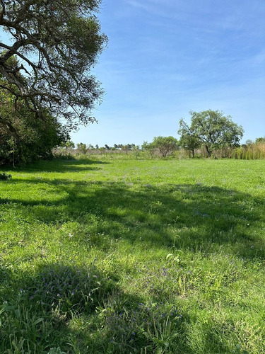 Lotes En Cayasta