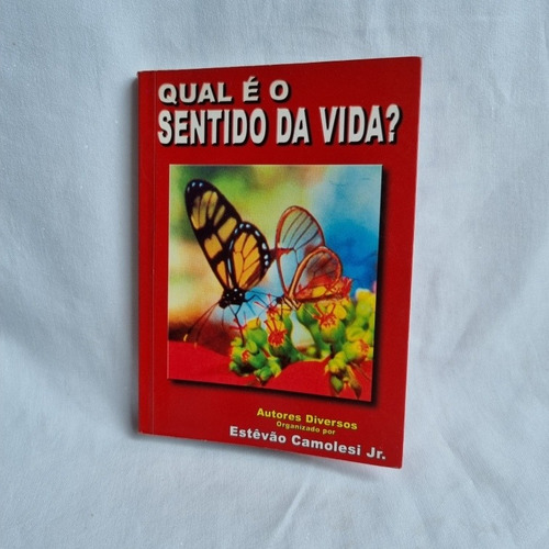 Livro Qual É O Sentido Da Vida? Estevão Camolesi Jr. Usado