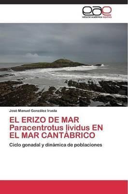 El Erizo De Mar Paracentrotus Lividus En El Mar Cantabraqwe