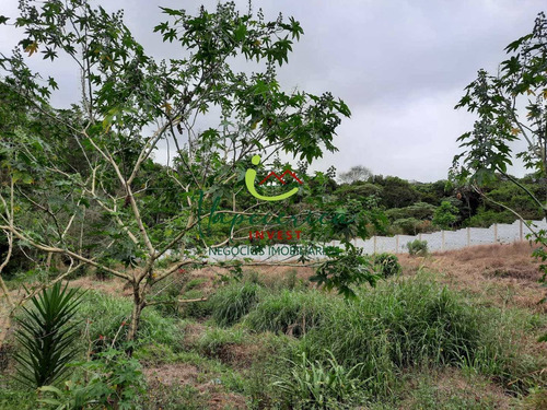 Imagem 5 de 9 de Terreno Itapecerica Da Serra - Vte0567