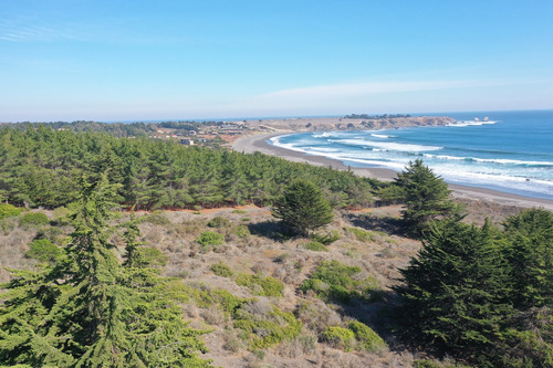 Desarrollo Inmobiliario Frente Al Mar En Punta De Lobos