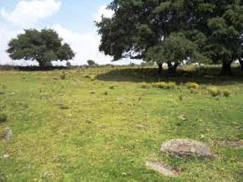 Venta Terreno Yautepec Inmejorable Ubicación Ideal Para Desarrolladores