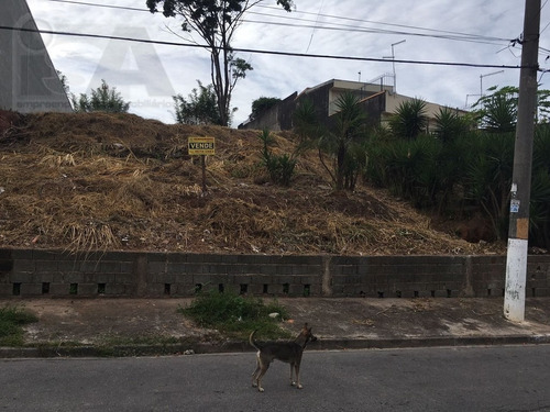 Imagem 4 de 5 de Terreno Em Tanquinho - Ferraz De Vasconcelos, Sp - 2242
