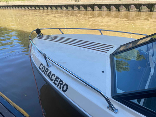 Imagen 4 de 15 de Lancha Pagliettini Rs 54 Clasico Del Rio Evinrude Etec115hp