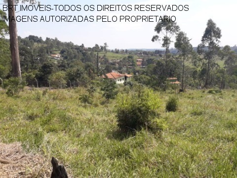 Imagem 19 de 22 de Terreno - Te00125 - 34466729