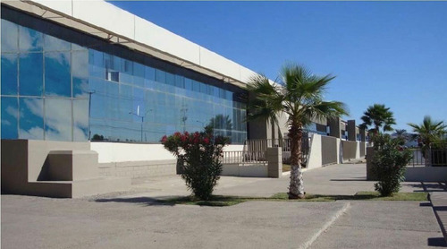 Hillo Nte. 175,019 Ft2 Dynatech 2 Prolodir 1 Gd 030523