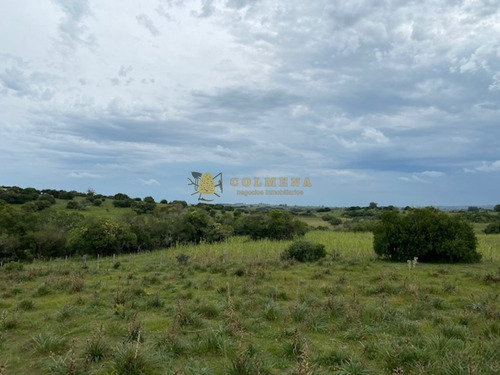 Campo En Garzon - Ideal Para Uso De Descanso - Consulte!!!!- Ref: 3606
