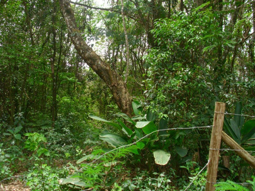 Imagem 2 de 6 de Sítio - Pico Alto - Si0240
