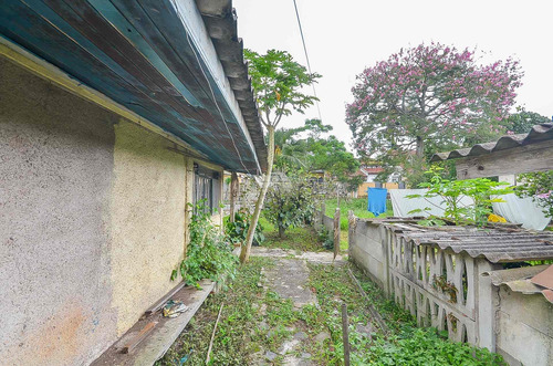 Imagem 16 de 30 de Terreno - Residencial - 923808
