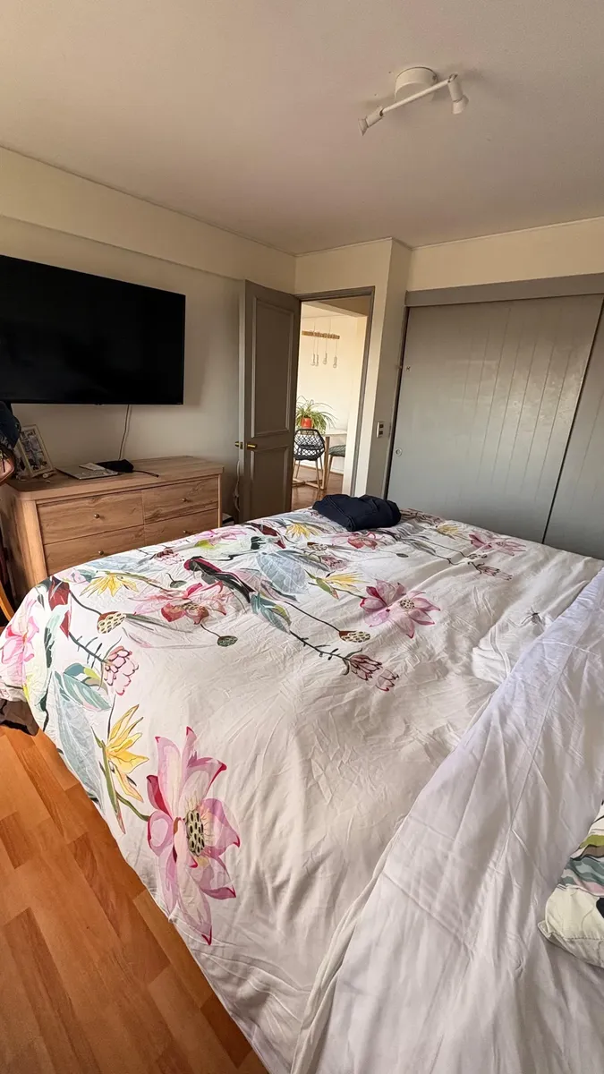 Imagen 3 de 12 de ¡arrienda Un Excelente Departamento En Providencia!