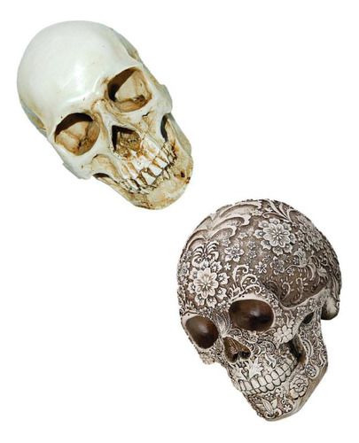 2pieces Lifesize Modelo De Réplica De Cráneo Cabeza De