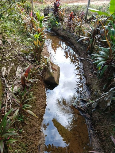 Imagem 10 de 28 de Linda Chácara No São João Da Graciosa Em Morretes-3.661,00 Metros - Ch0146