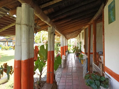 Imagen 8 de 30 de Venta De Finca En Pereira Vereda Combia .